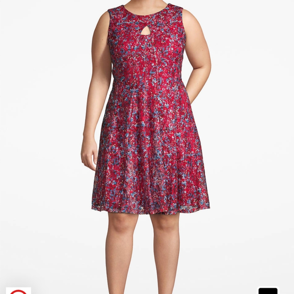 Printed lace keyhole fit and flare dress